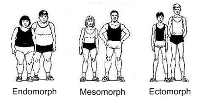 Somatotype